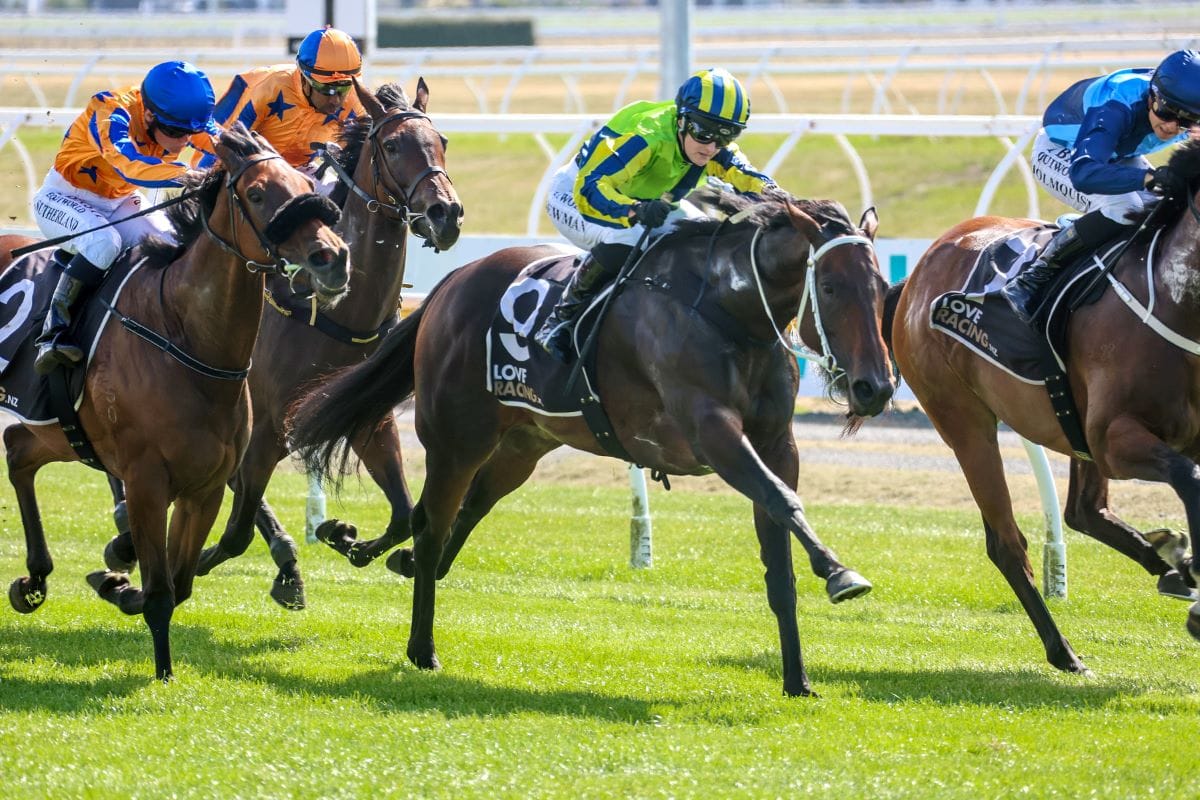 Marsh and Petagna following a familiar path