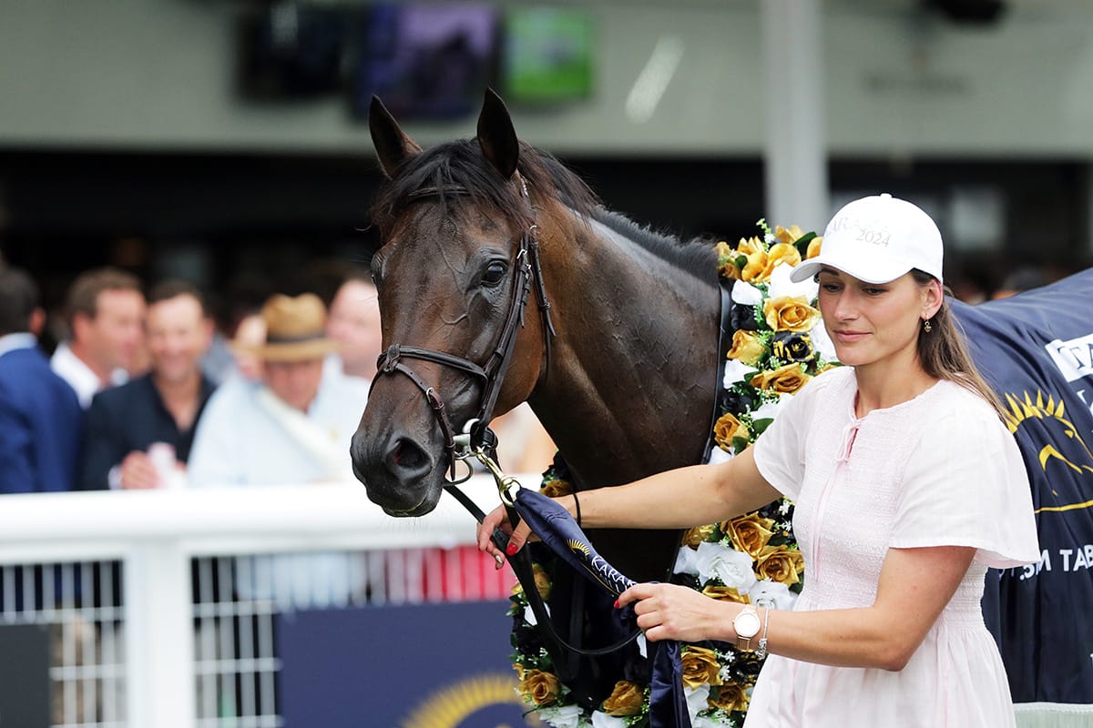 Orchestral humming ahead of NZ Derby