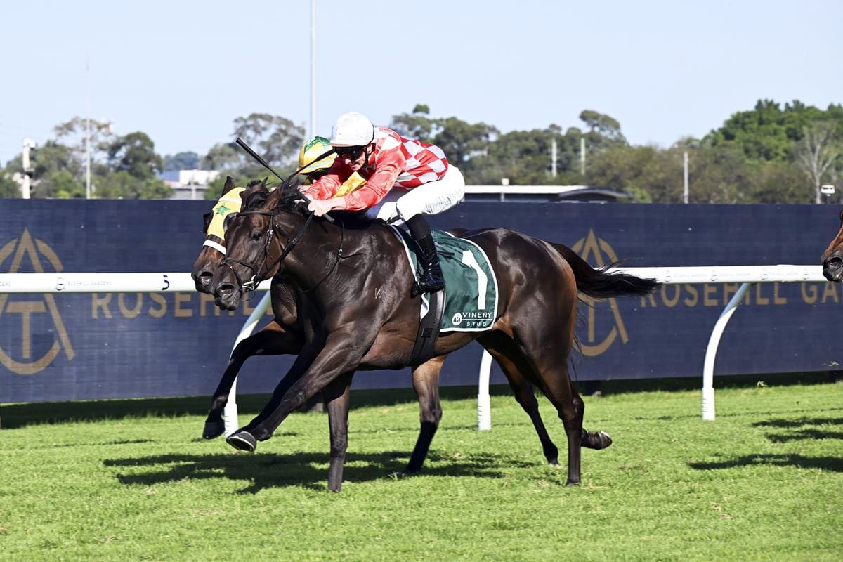 Orchestral outstanding in Australian debut