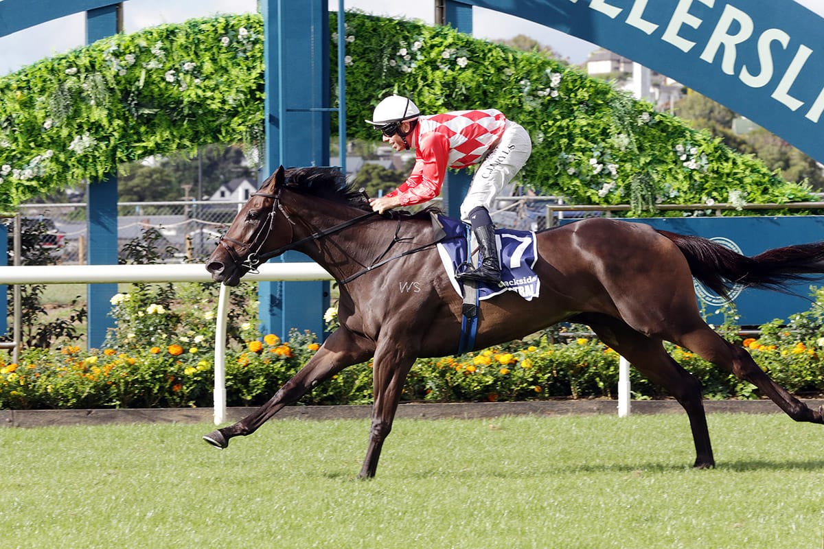 Kingsclere favoured to retain Vinery crown