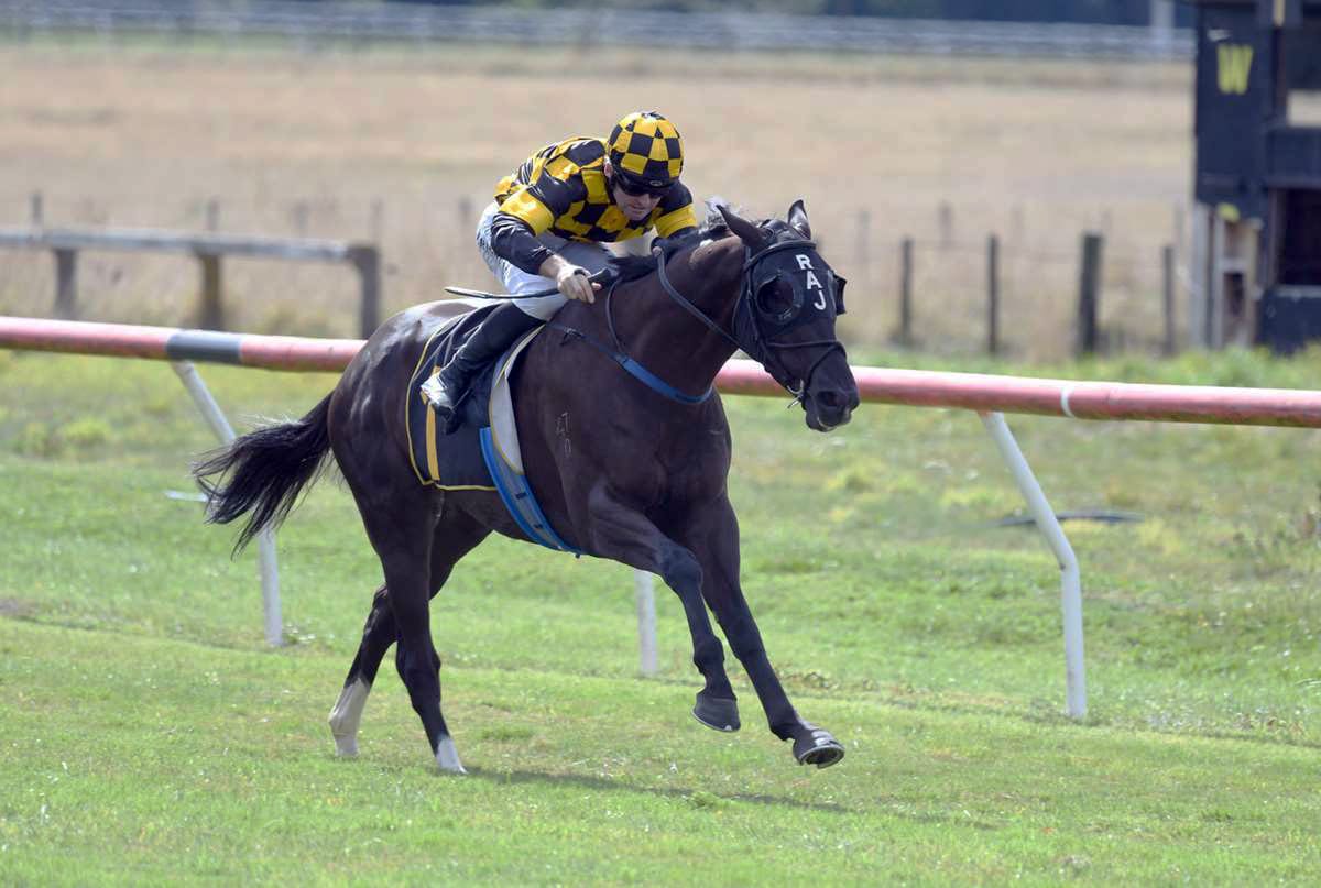 Stakes targets ahead for Paragon