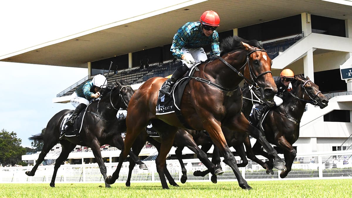 Pericles looking to continue owners stellar run