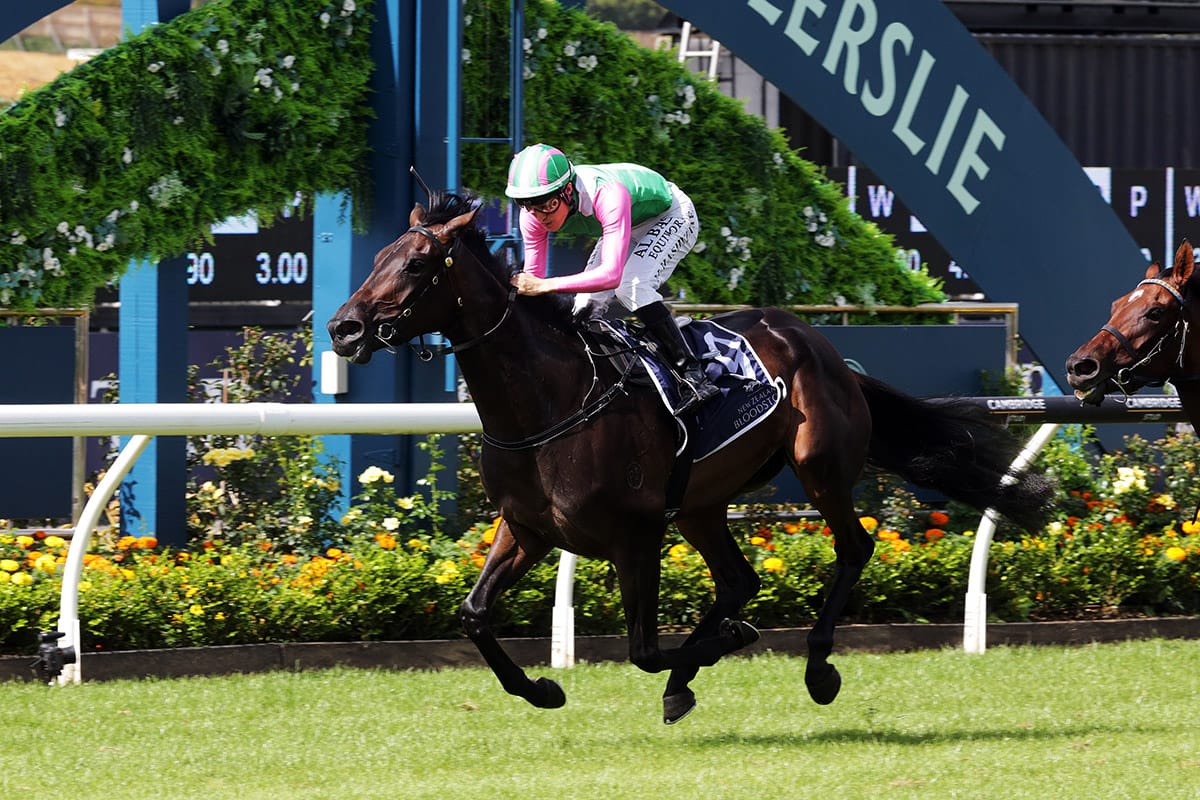 Positivity claims first stakes victory in Sunline Vase