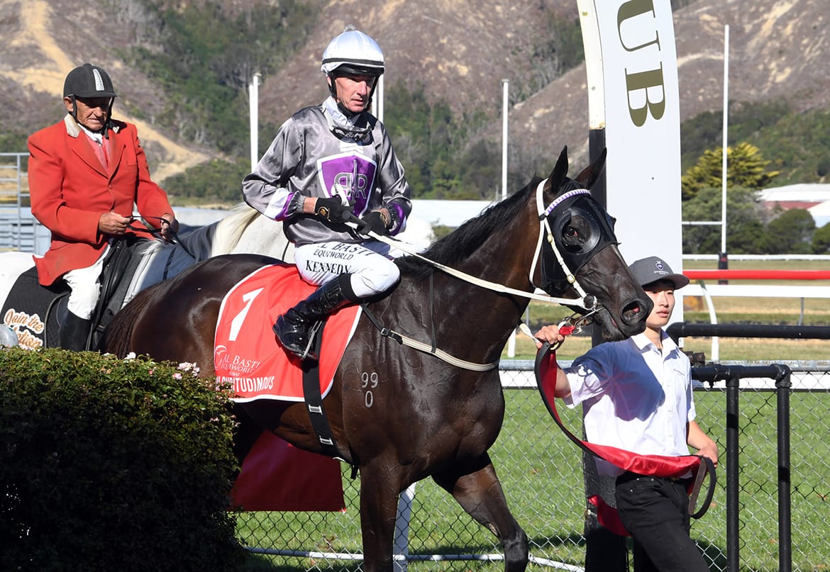 Worldwide interest in Pulchritudinous