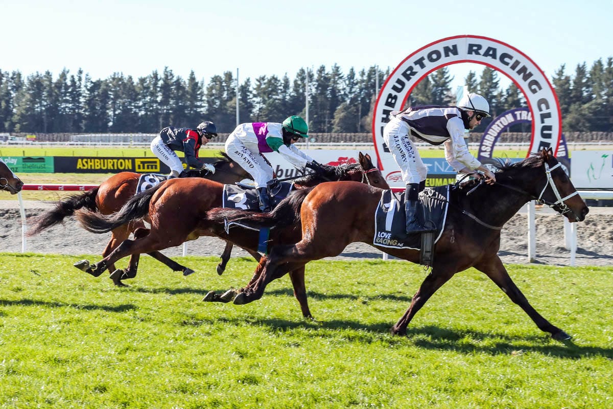 Sea Shepherd looking to get back on track