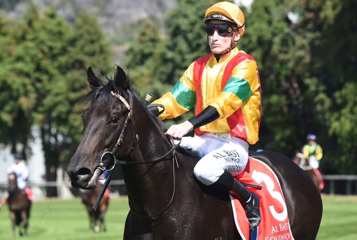 Sergeant Major looking for winning result in New Zealand swansong