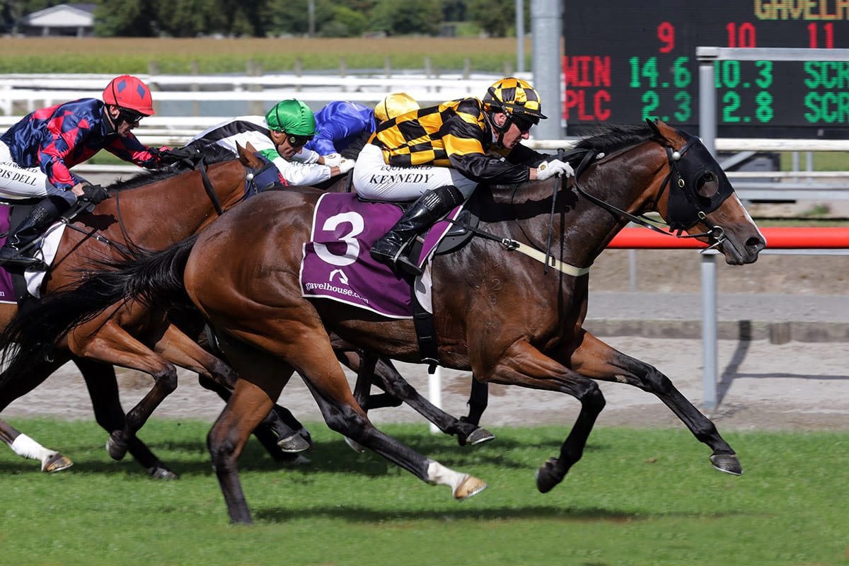 Snazzytavi using South Waikato Cup as a stepping stone