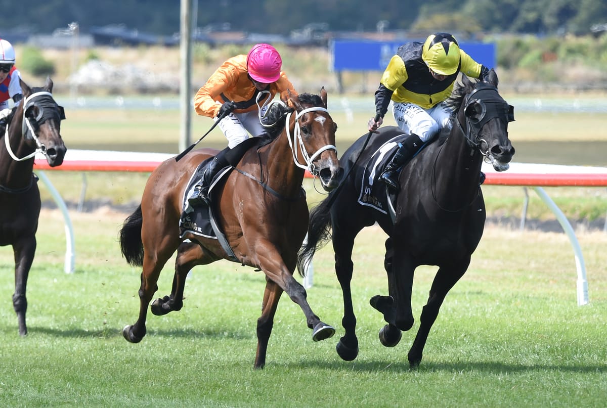 Testify Me wins St Leger