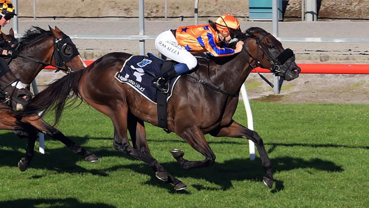 The Mighty Spar retains South Waikato Cup crown