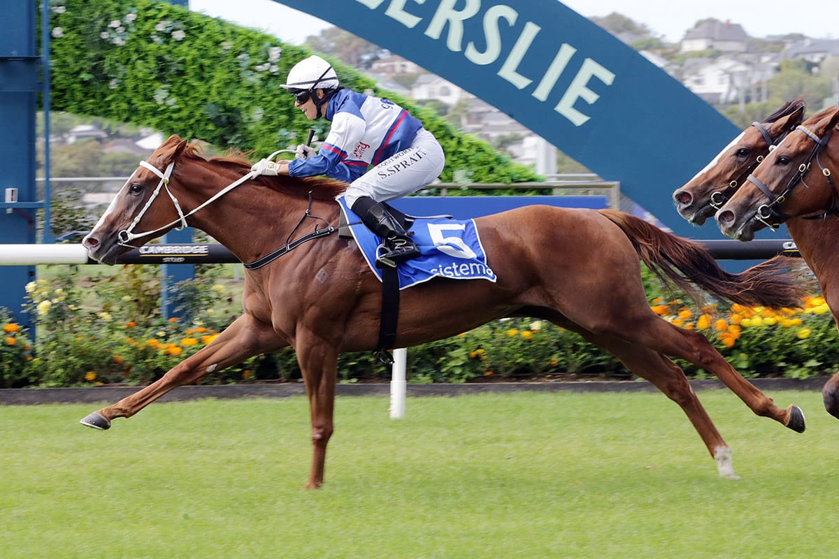 Velocious dominant in Sistema Stakes