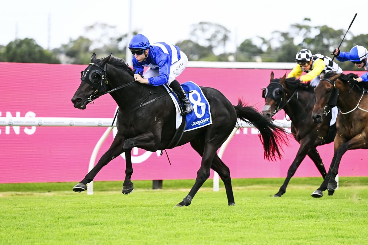 Derby path for Savabeel’s Wymark