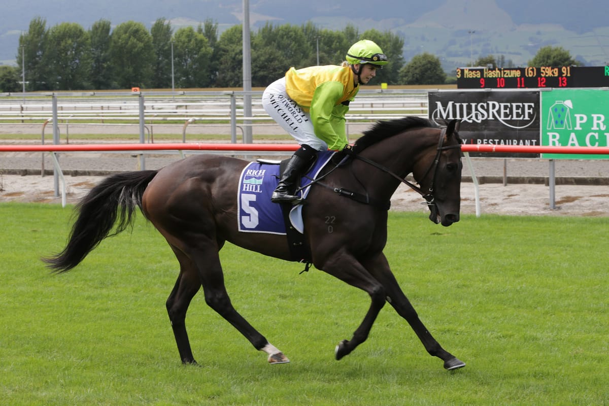 You Say D’Orsay looking to deliver on early promise