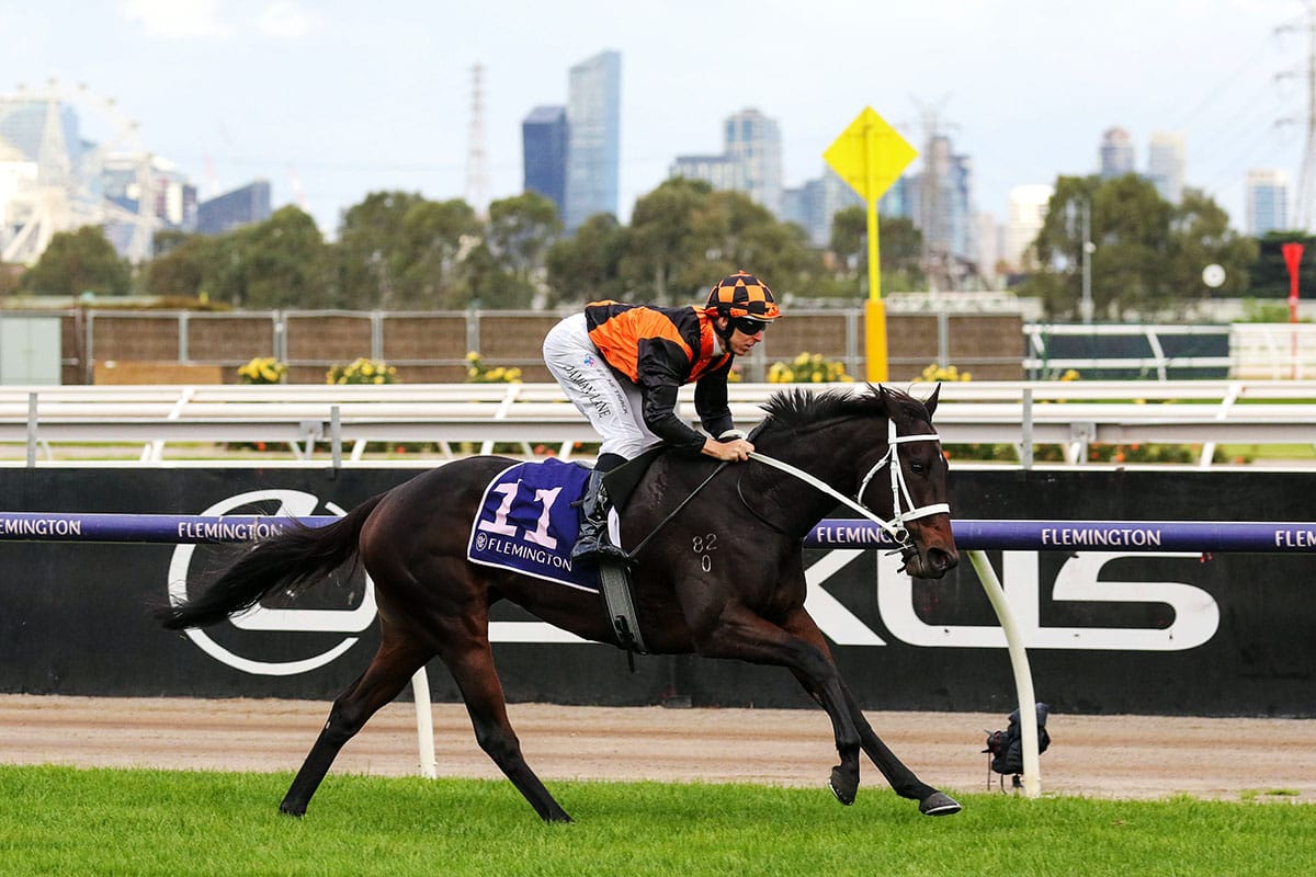 Almanzor fillies quinella VRC St Leger