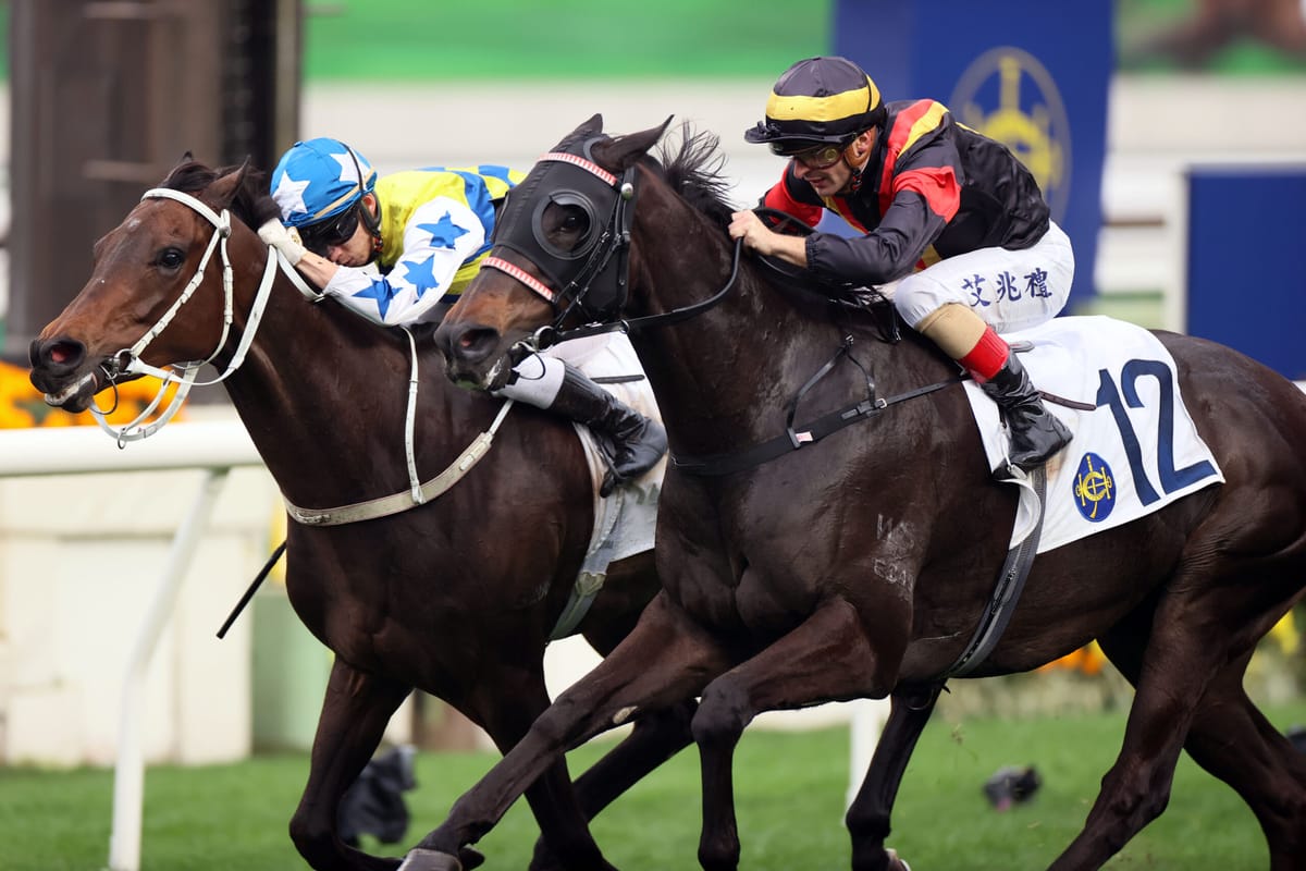 Ricky Yiu hopes Nimble Nimbus can advance in FWD QEII Cup