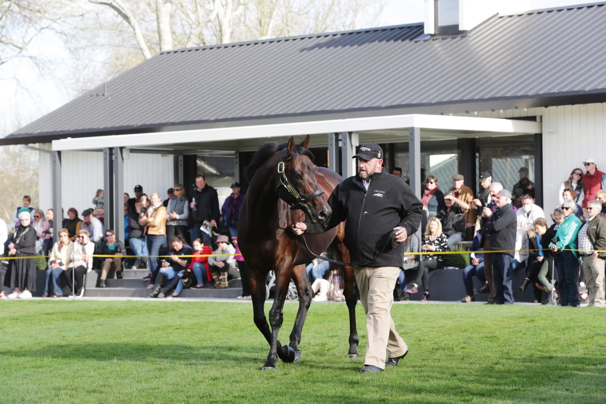 Waikato Thoroughbred Breeders' Stallion Parade schedule