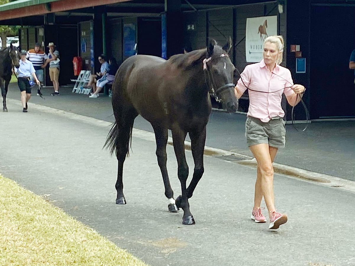 First stakes winner for Peterken