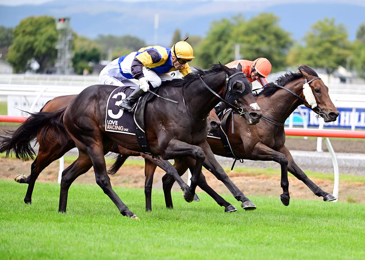 Consistent Arby chasing Gold Cup win