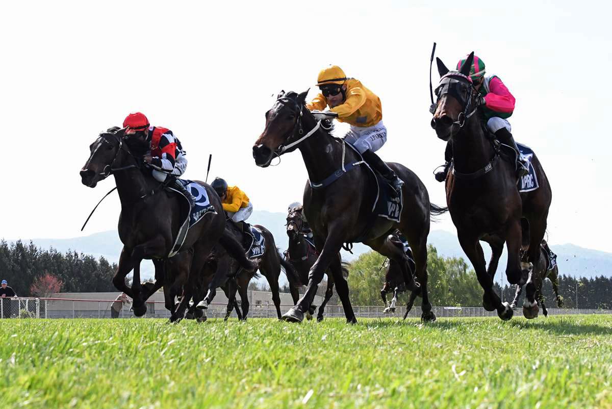 Danjuro looking for redemption at Wanganui