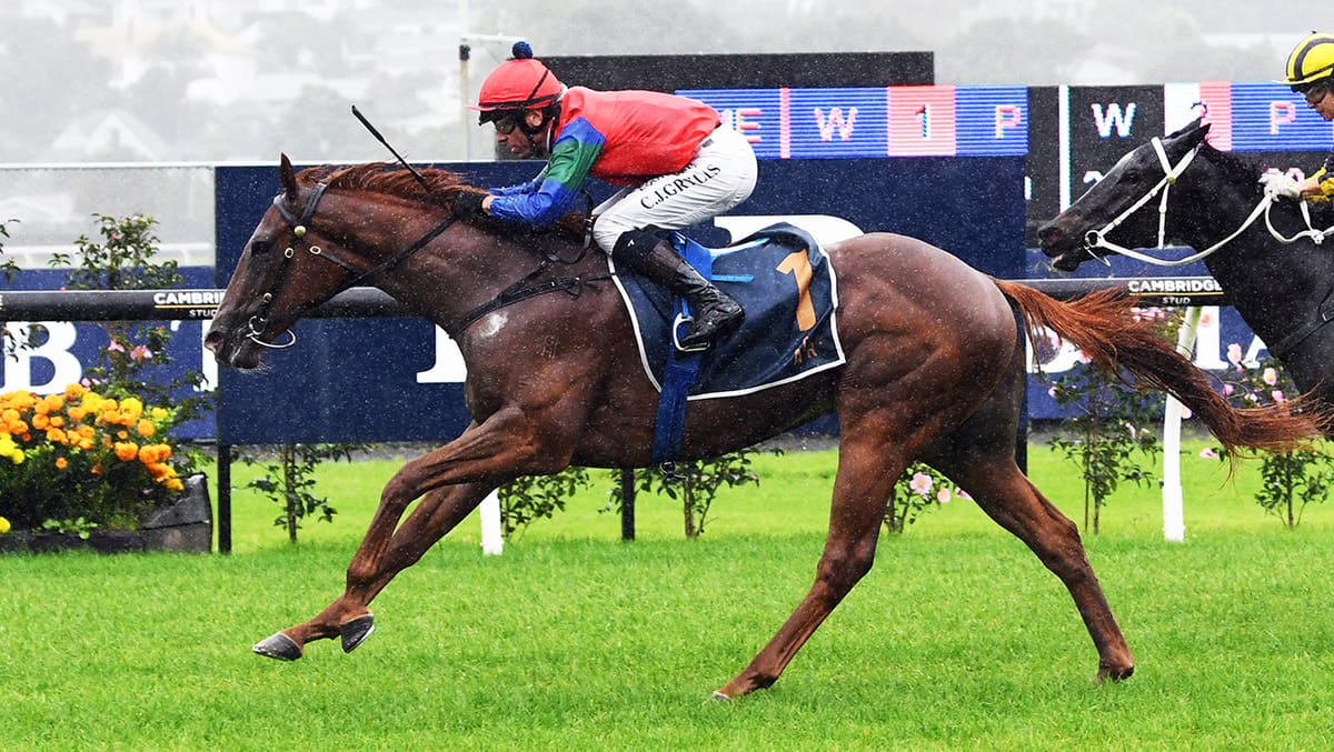 Ace juvenile dominates in Starway Stakes