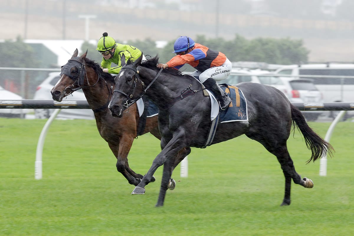 Australia beckoning Espadas