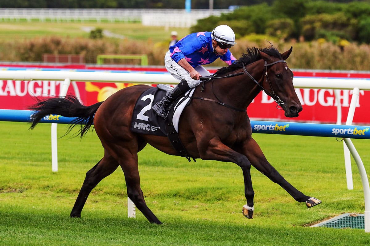 Super Seth two-year-old maintains perfect record