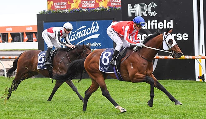 Grand Impact ready to reemerge