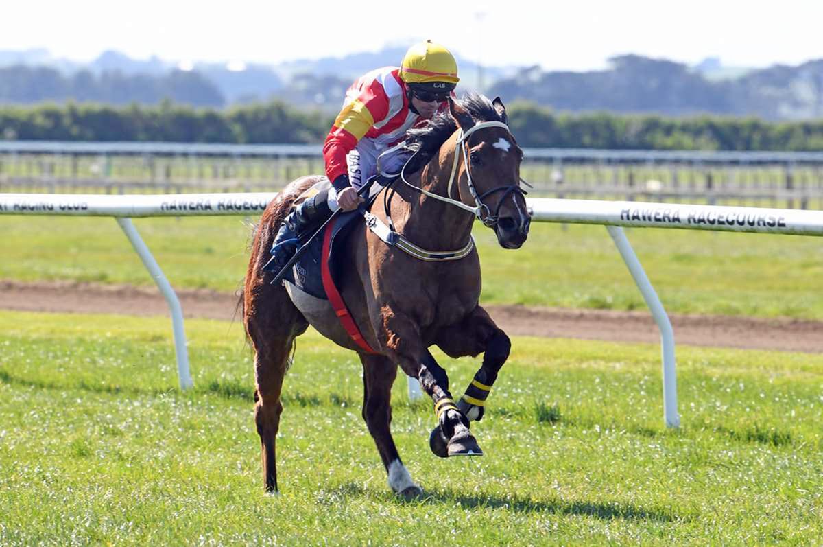 Resuming run key for Harry’s fitness