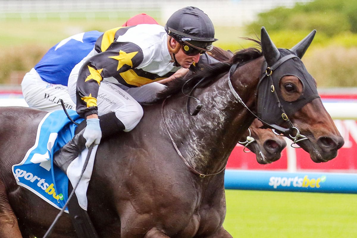 Bayliss to partner Here To Shock