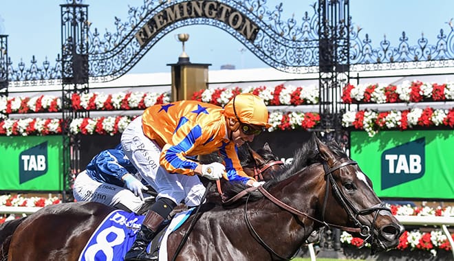 Horse of the Year finalists announced