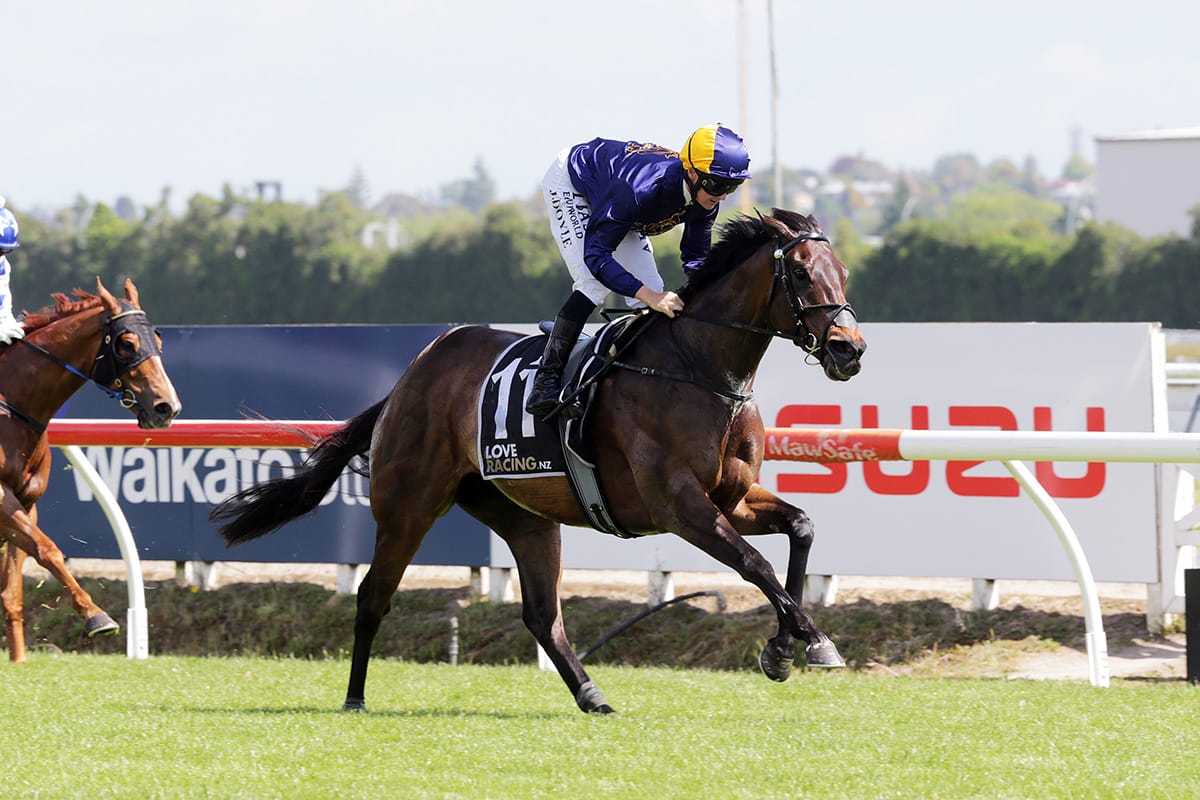 Imwonderfultonight set for Australian test