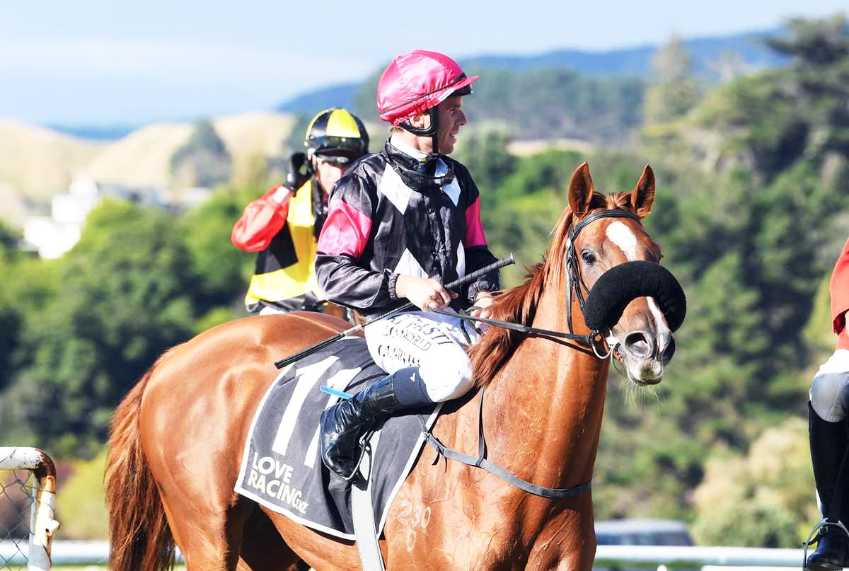 Patterson chasing southern honours at Riccarton