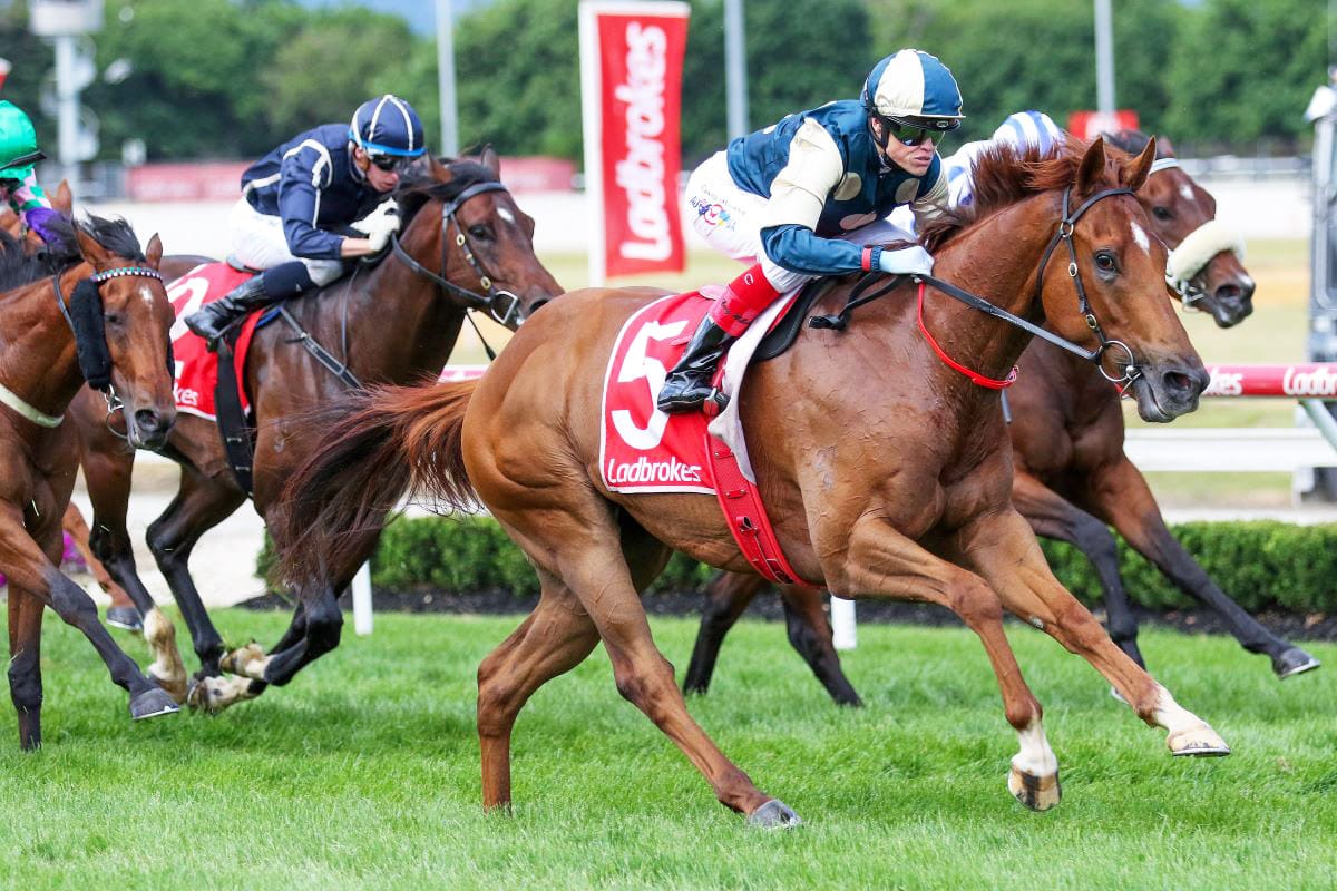 Jimmy starts run for Stradbroke