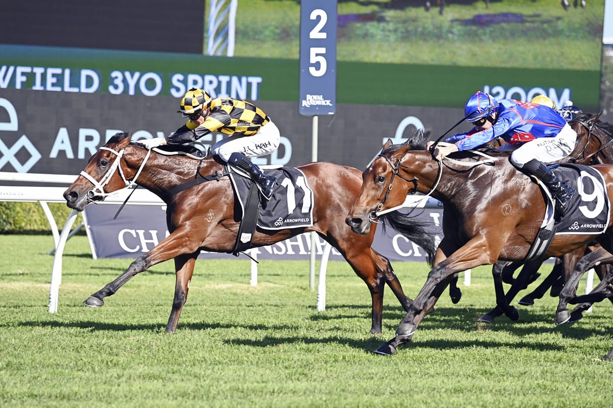 Star filly returns in blaze of glory