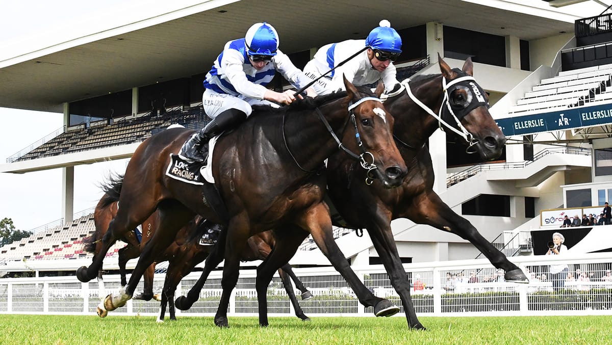 Ellerslie under investigation