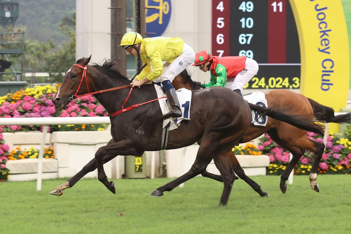 Lucky Sweynesse bounces back with win