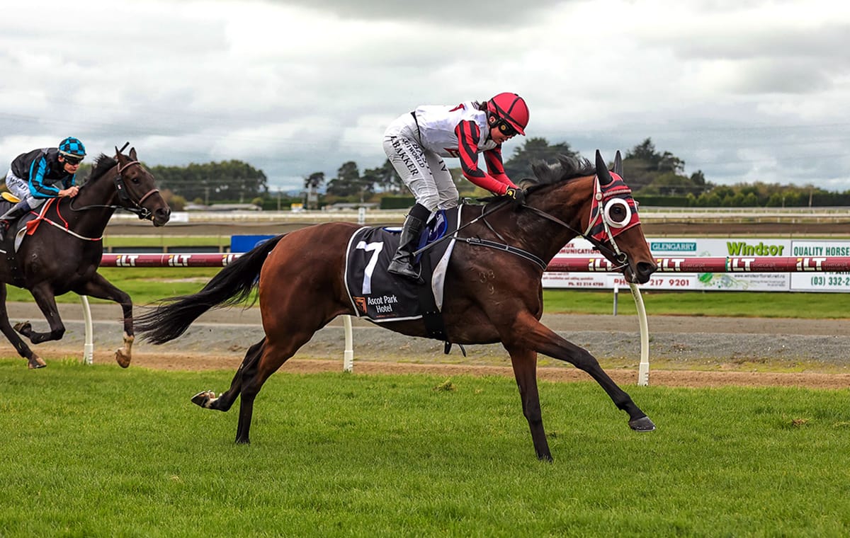 Shearing trio head to Wingatui