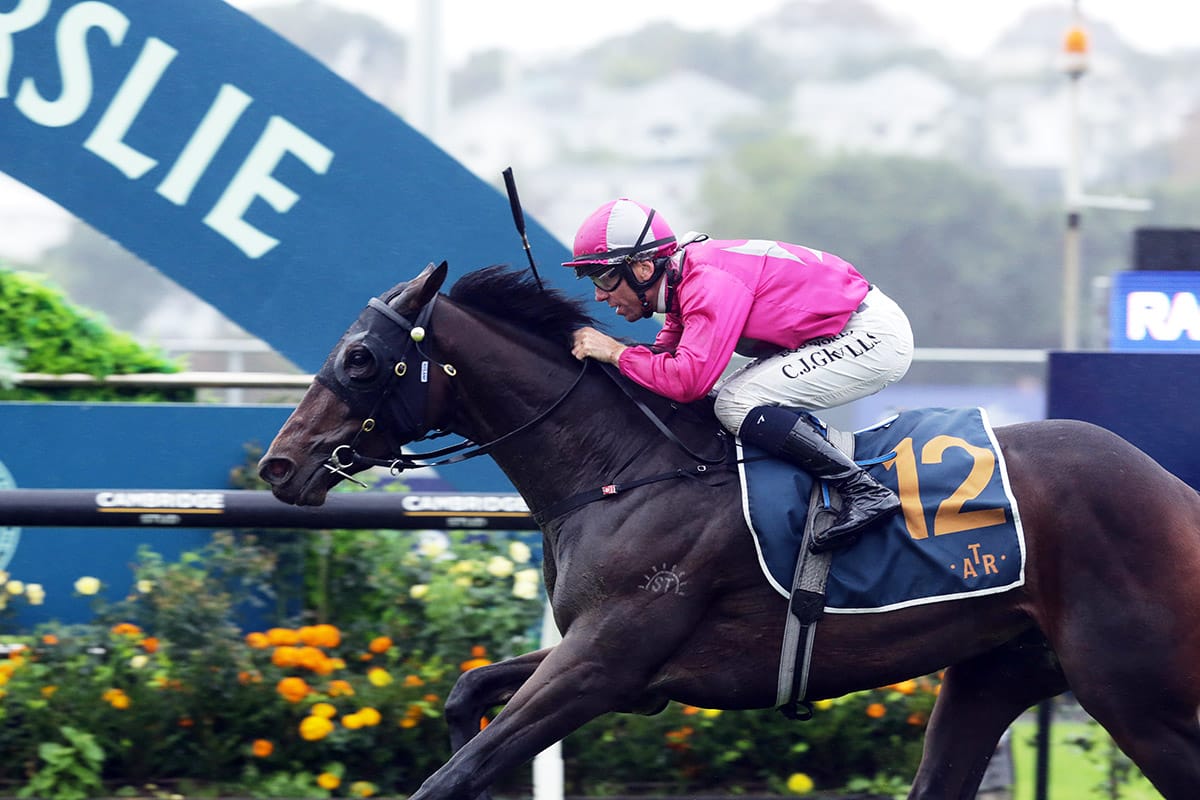 Sun shining on potential Group One hope