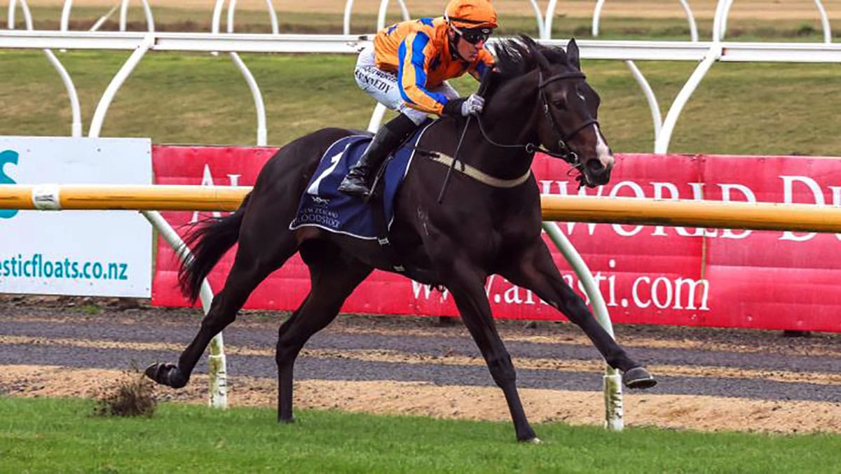 Nucleozor delivers in Welcome Stakes