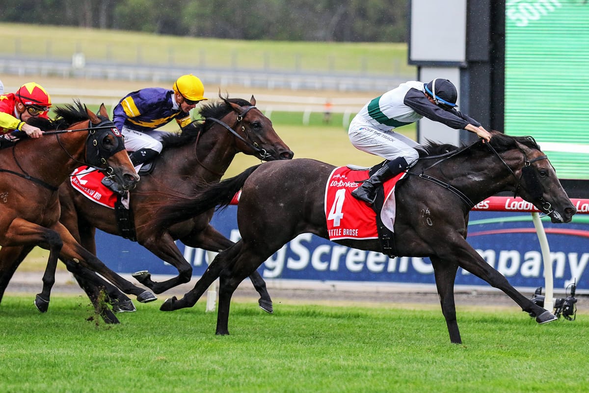 Little Brose’s big first-up test in Group 1 Chairman’s Sprint Prize