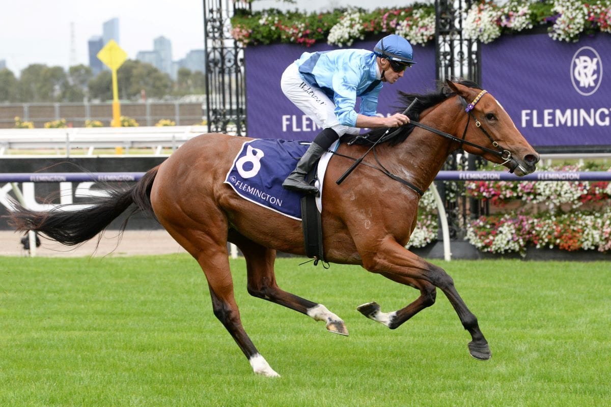 Browne's Pondalowie relief