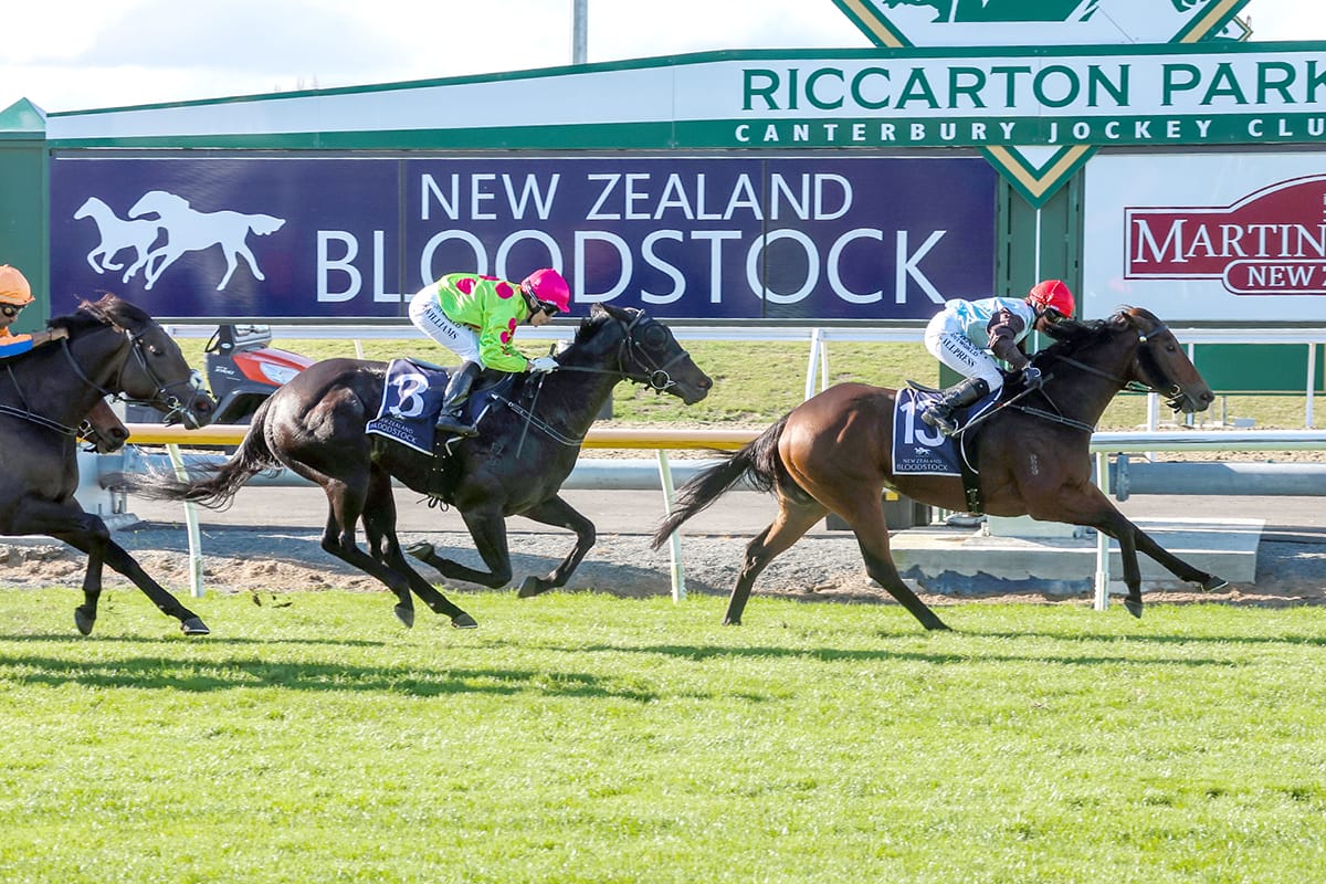 Southern raid produces black-type gold for Sassy Merlot