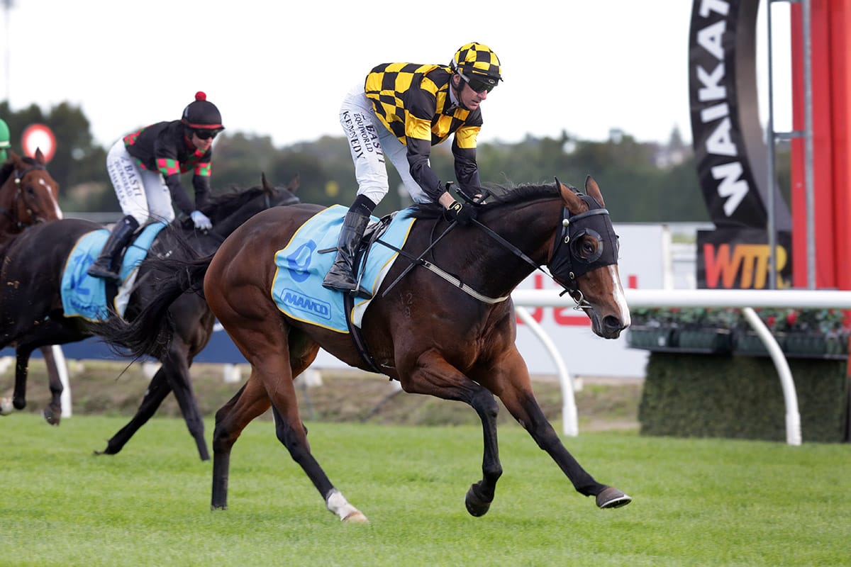 Stellar weekend for Curraghmore graduates