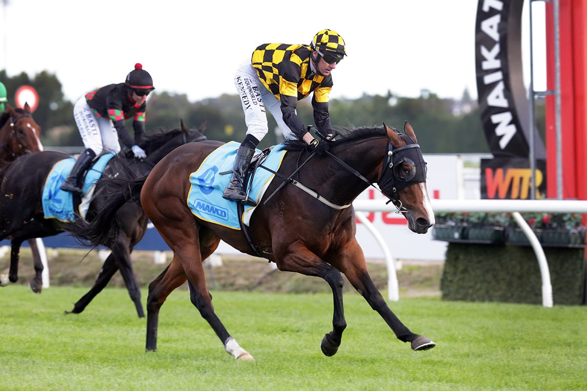 Snazzytavi superb in Easter Handicap