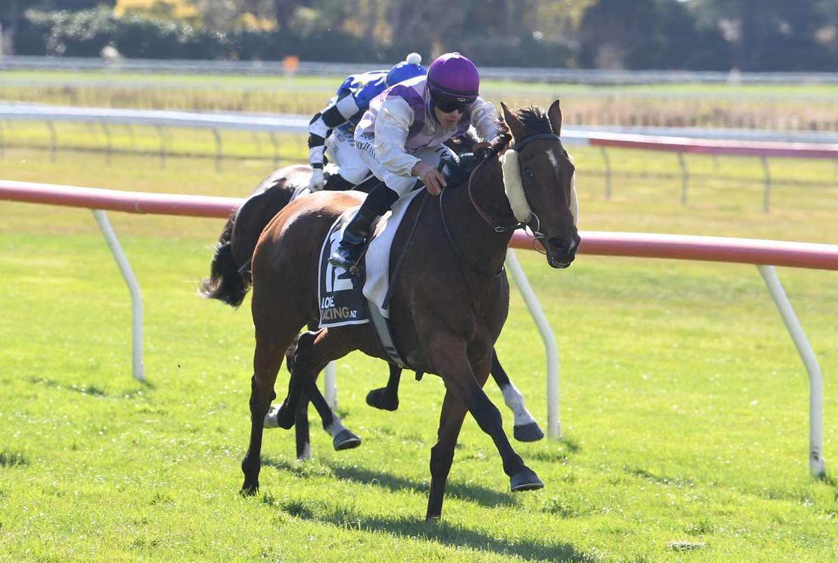 Stringline back in winner's circle