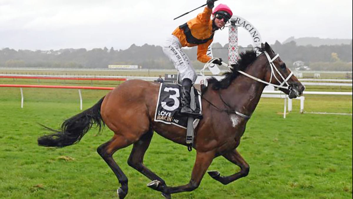 Special win for Millar in Hawke’s Bay Cup