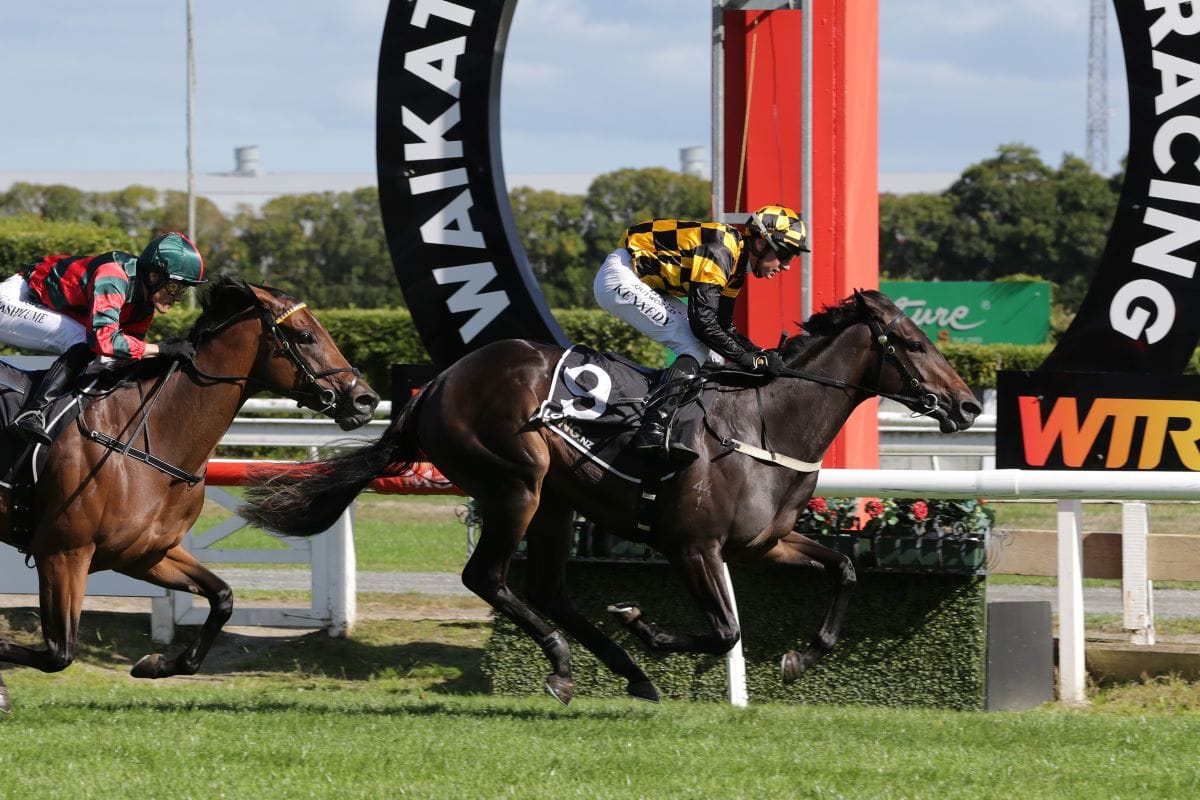 Thooza shines on debut at Te Rapa