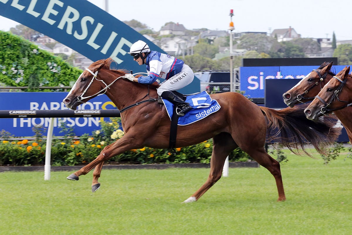 Marsh remains upbeat despite loss of crack 2YO