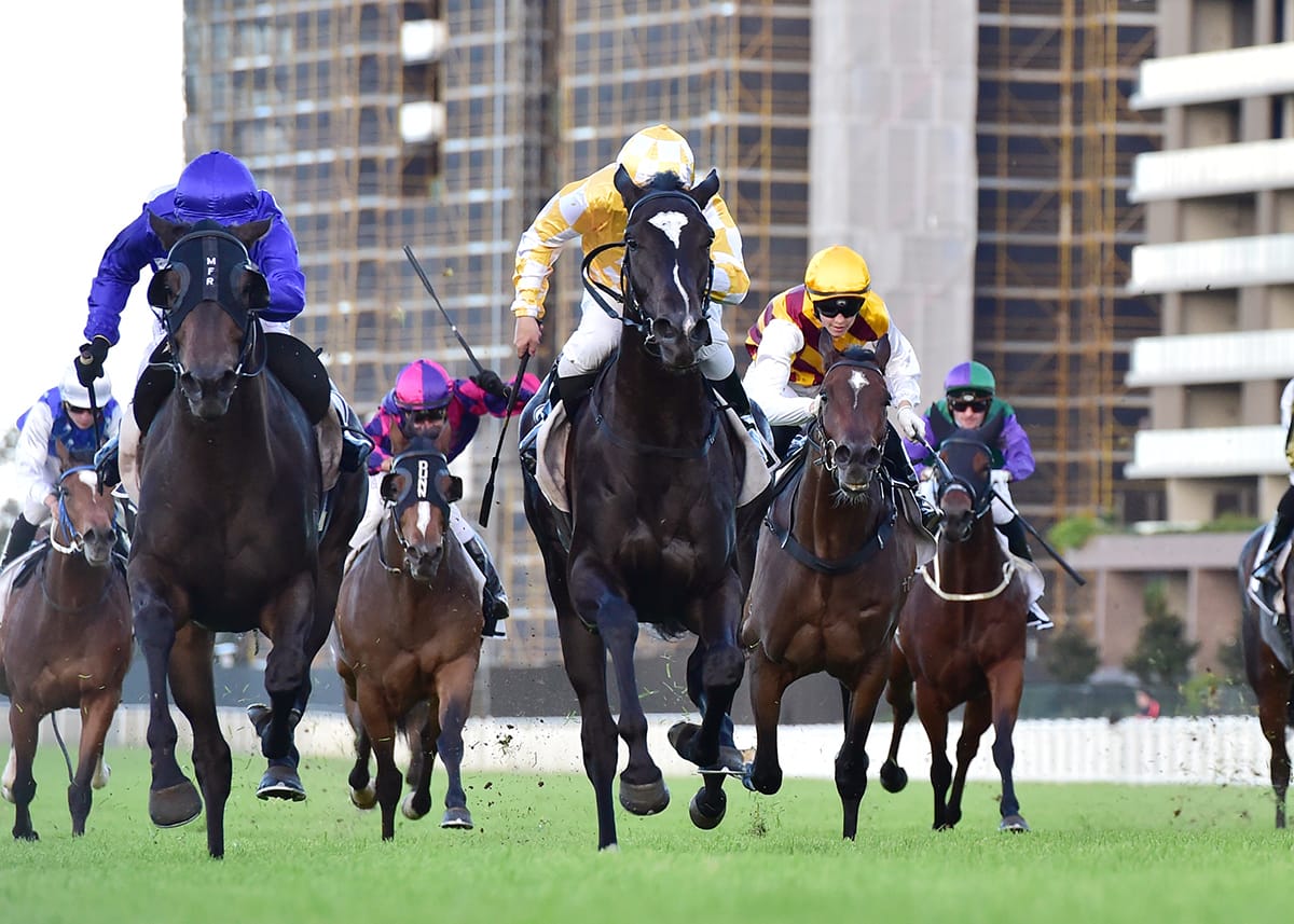 Waikato Girl on Queensland Oaks path