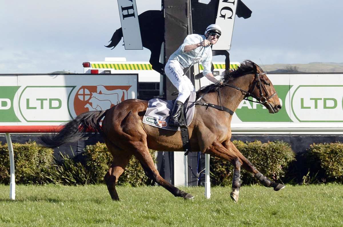 Champion jumper West Coast to resume at Waverley