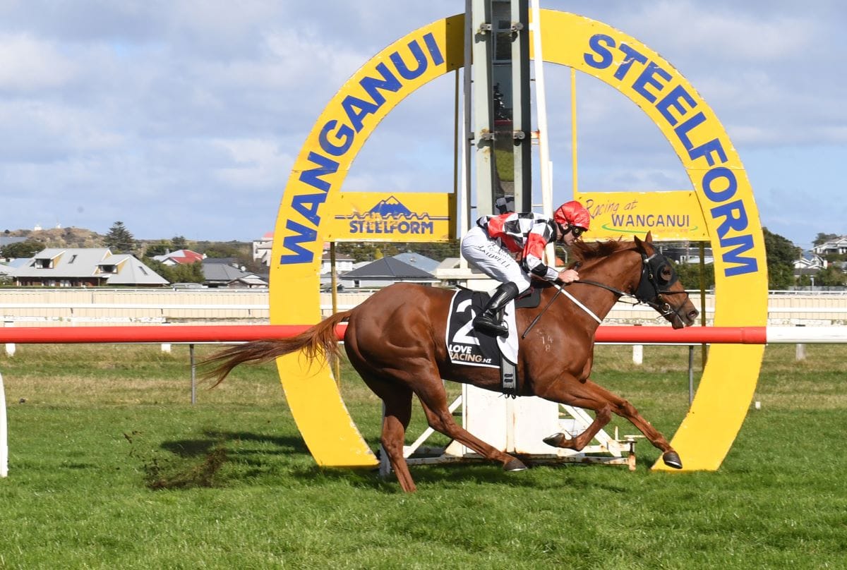 Australia beckons Wewillrock after Wanganui romp